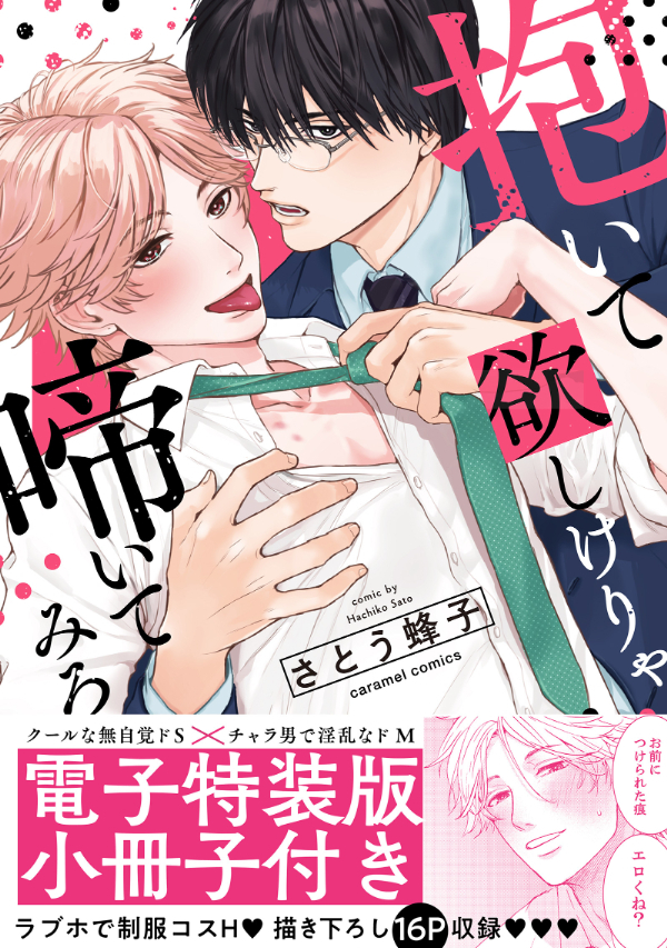 抱いて欲しけりゃ啼いてみろ【単行本版／電子特装版小冊子付き】