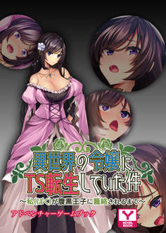 異世界の令嬢にTS転生していた件 ~私(ぼく)が腹黒王子に籠絡されるまで~ アドベンチャーゲームブック