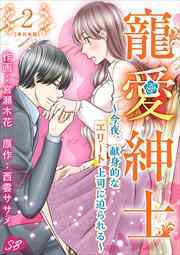 寵愛紳士～今夜、献身的なエリート上司に迫られる～　単行本版2