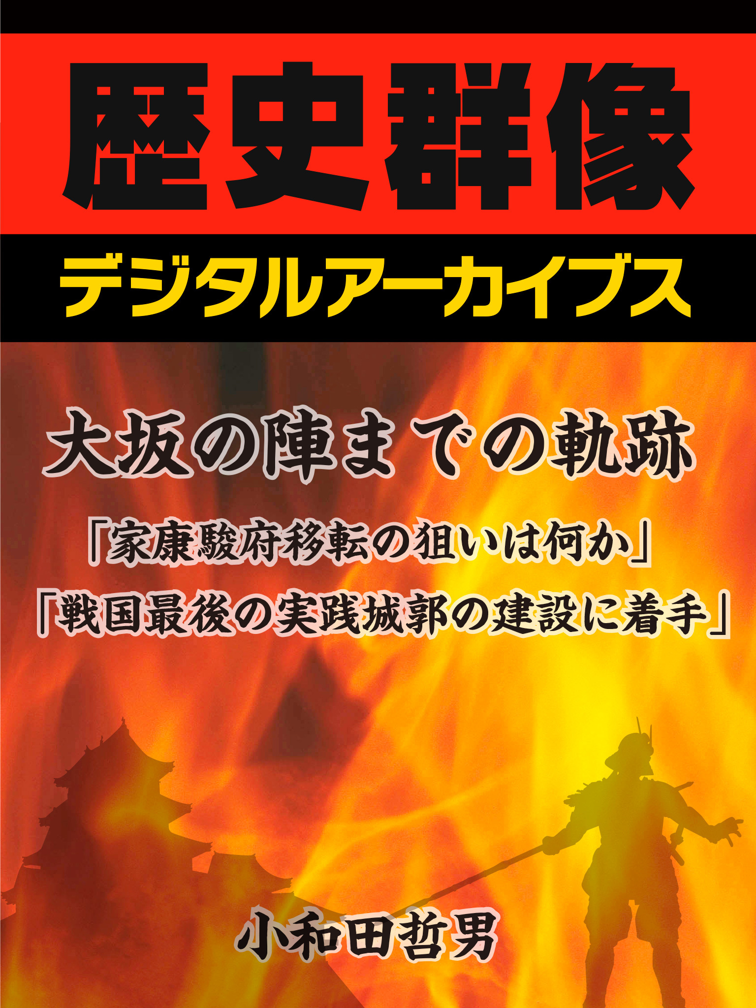 大坂の陣までの軌跡　「家康、駿府移転の狙いは何か」「戦国最後の実戦城郭の建設に着手」