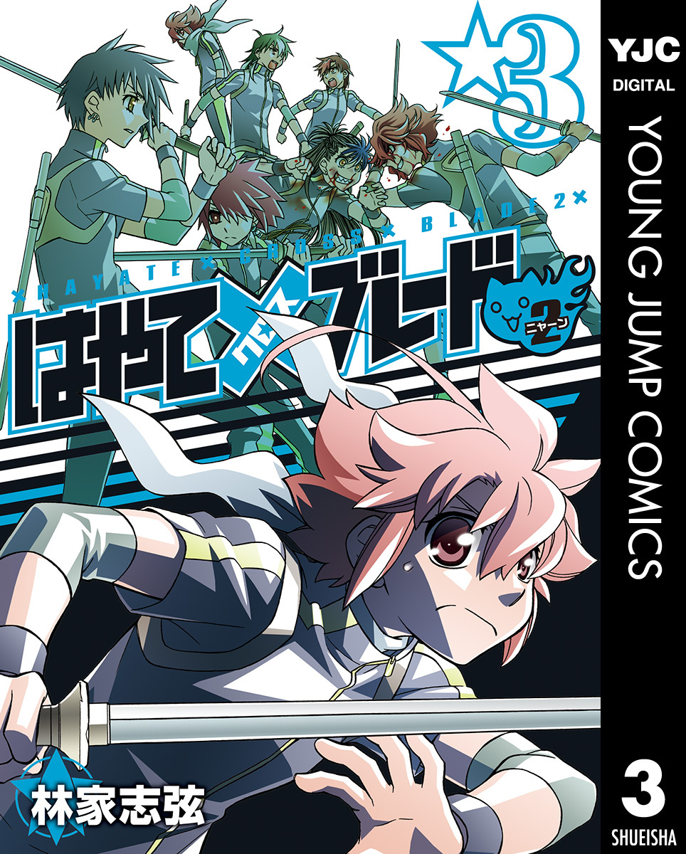 はやて×ブレード2 3