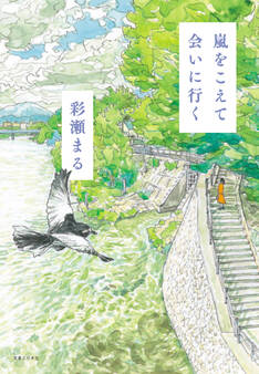 嵐をこえて会いに行く