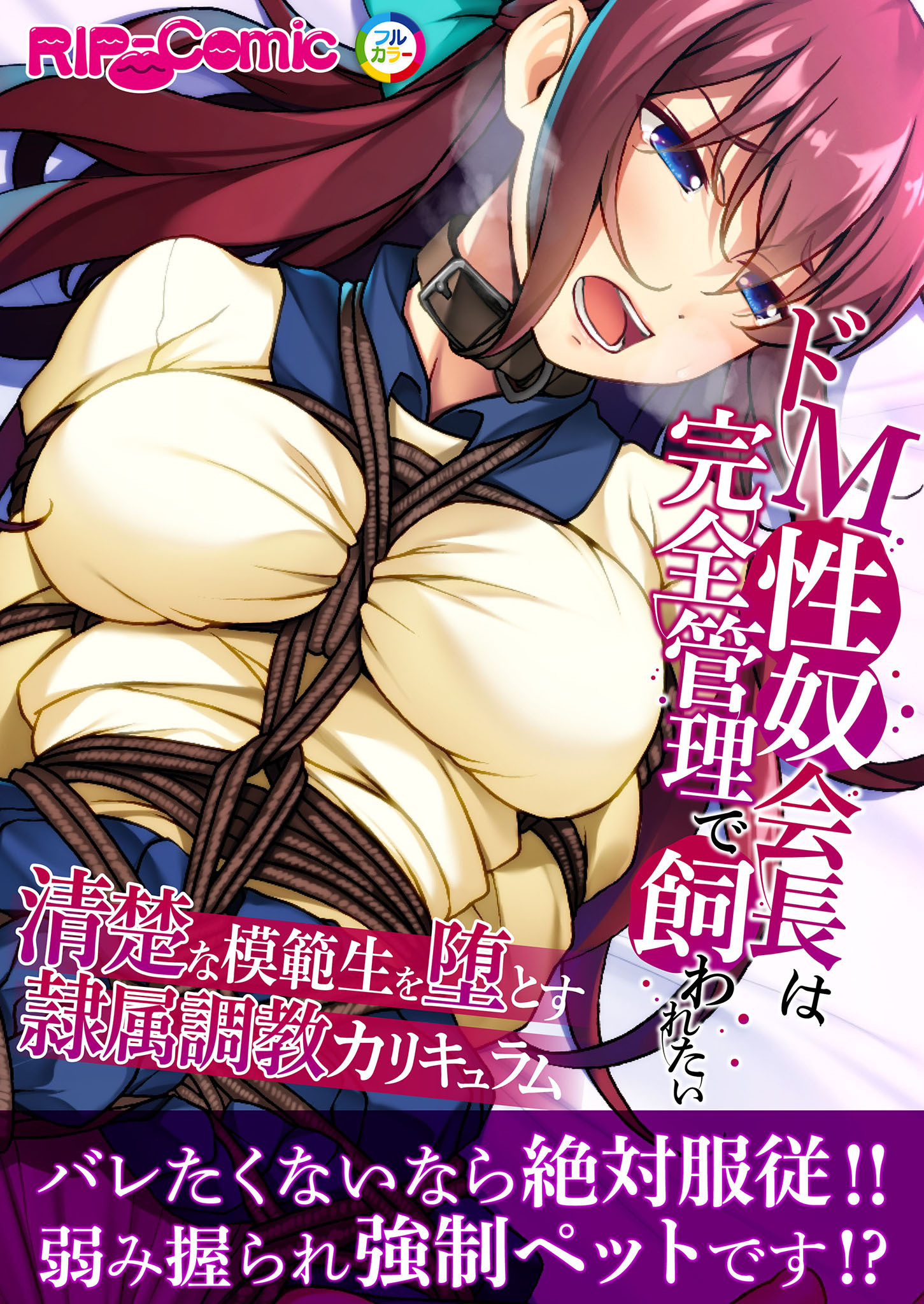 ドM性奴会長は完全管理で飼われたい ～清楚な模範生を堕とす隷属調教カリキュラム～