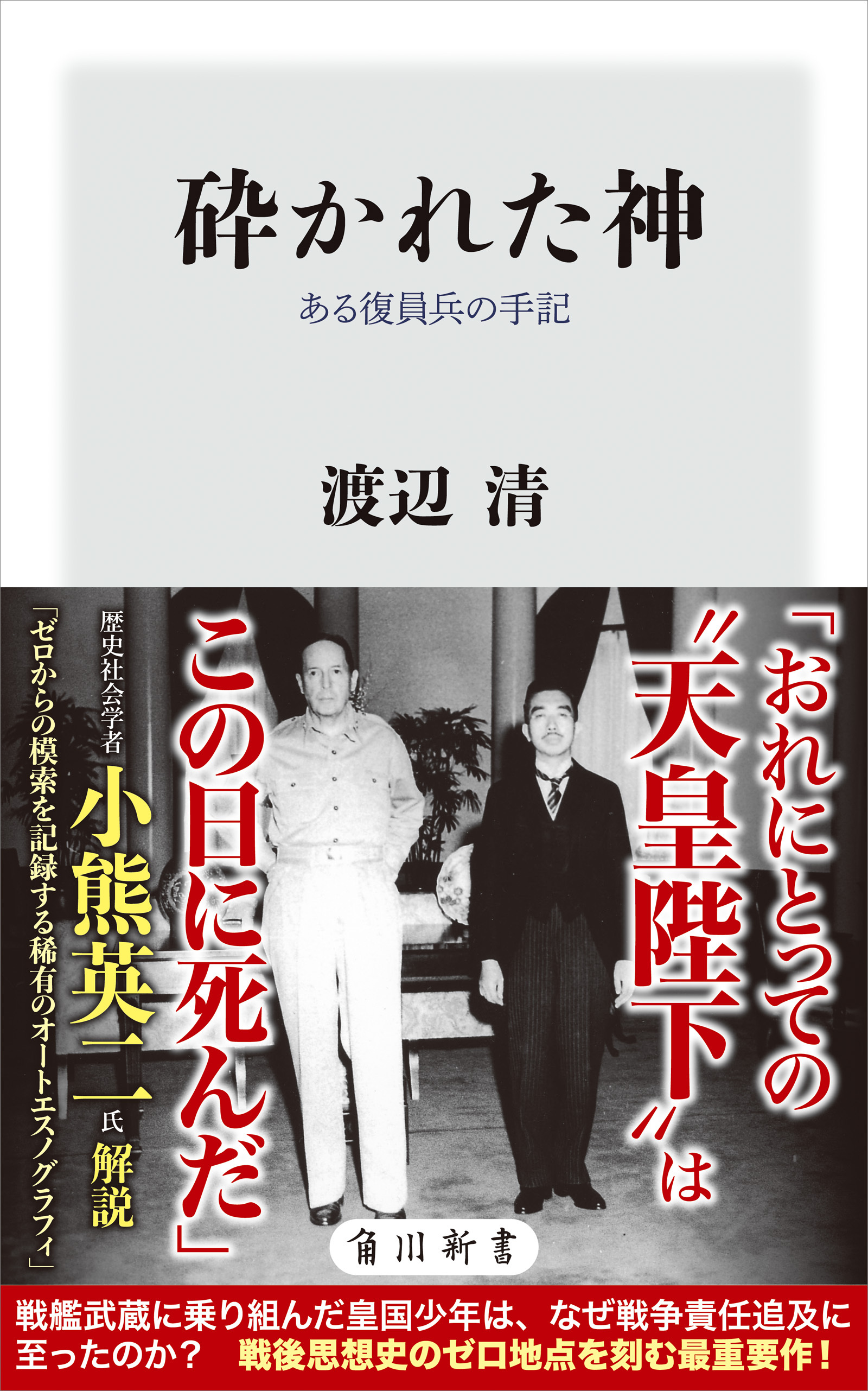 砕かれた神　ある復員兵の手記
