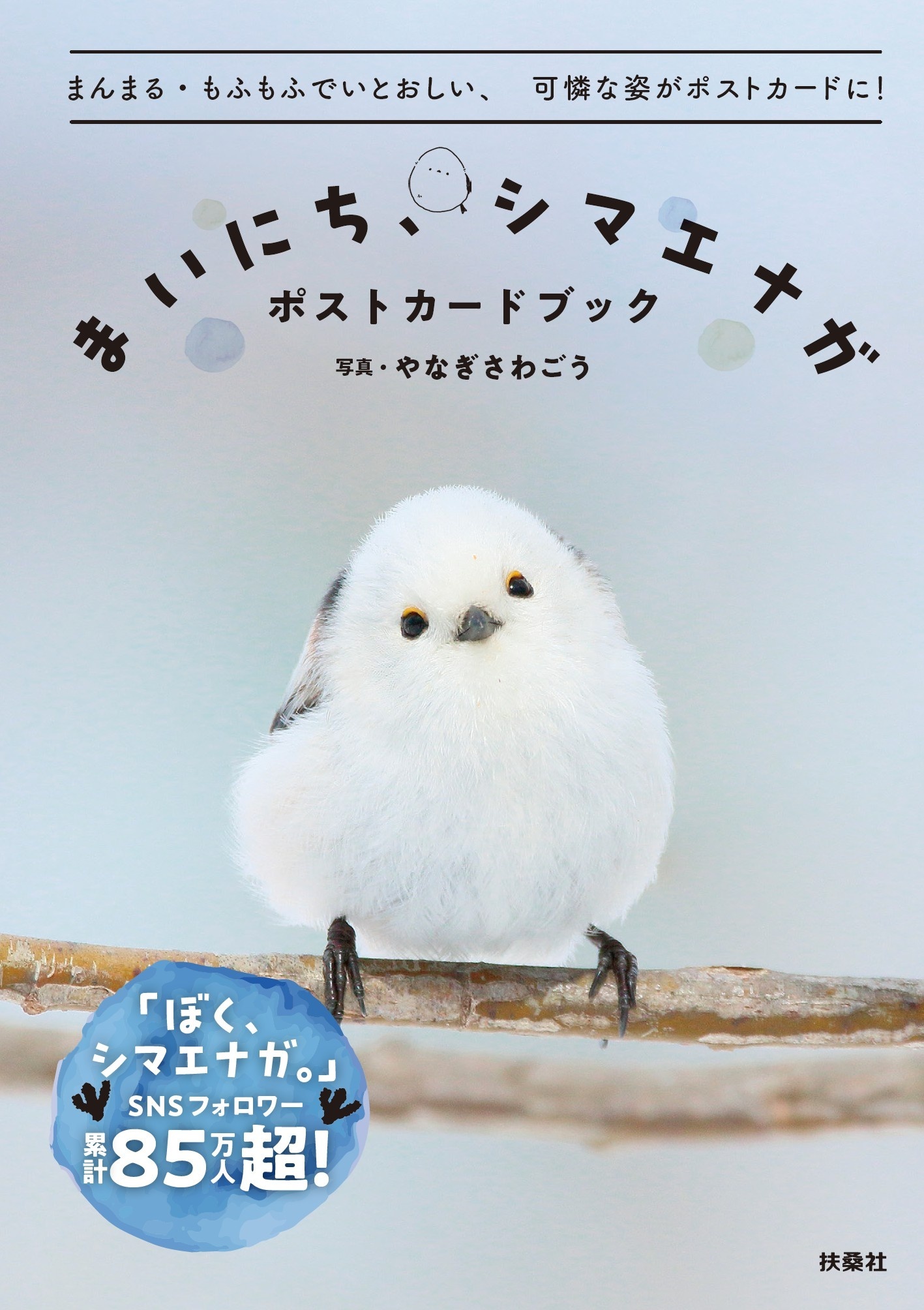 まいにち、シマエナガ　ポストカードブック