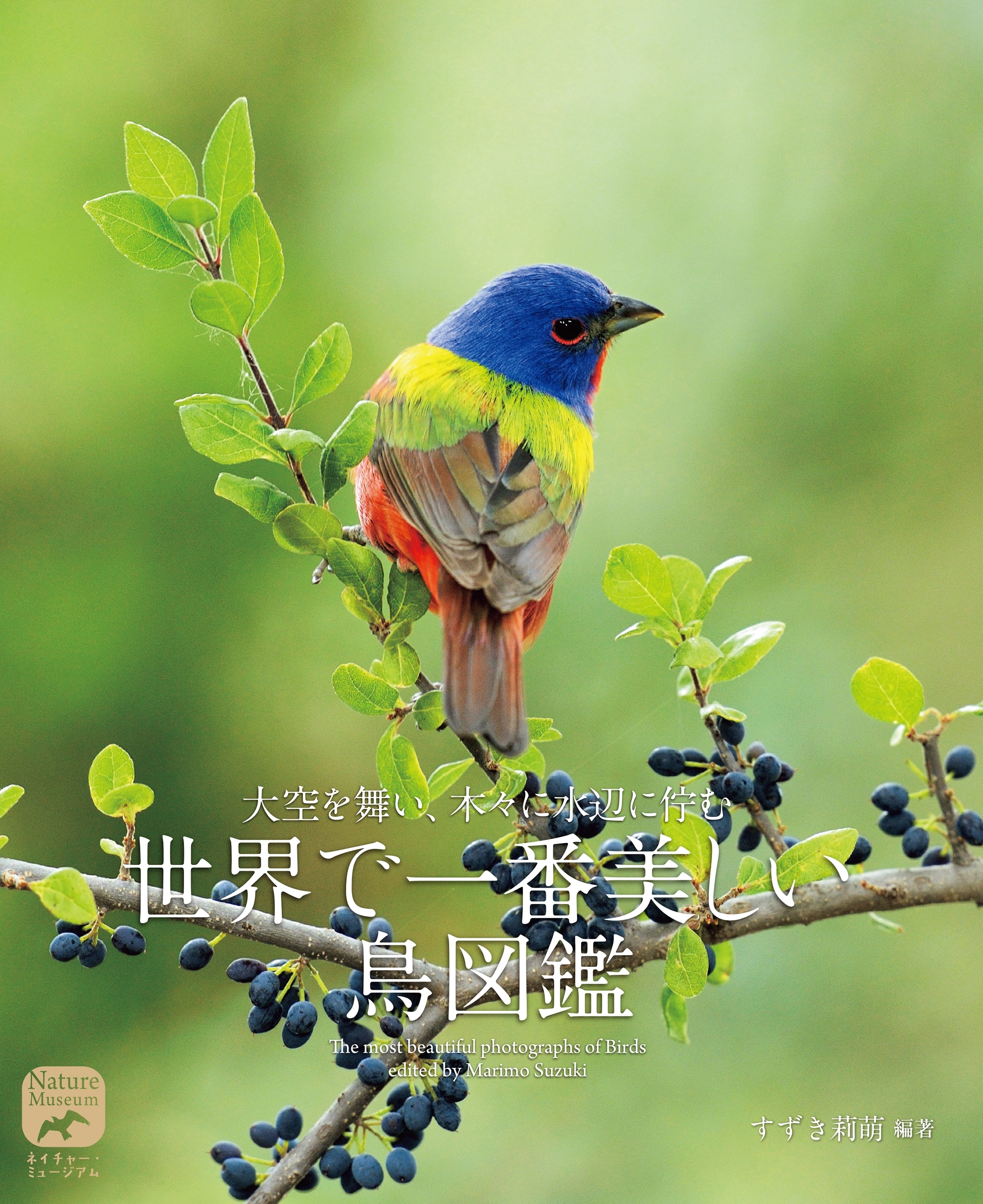 ネイチャー・ミュージアム