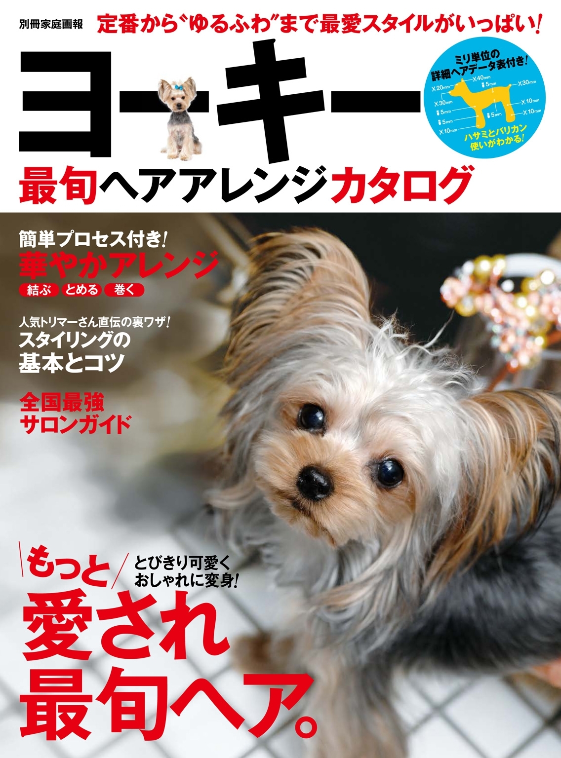 ヨーキー最旬ヘアアレンジカタログ
