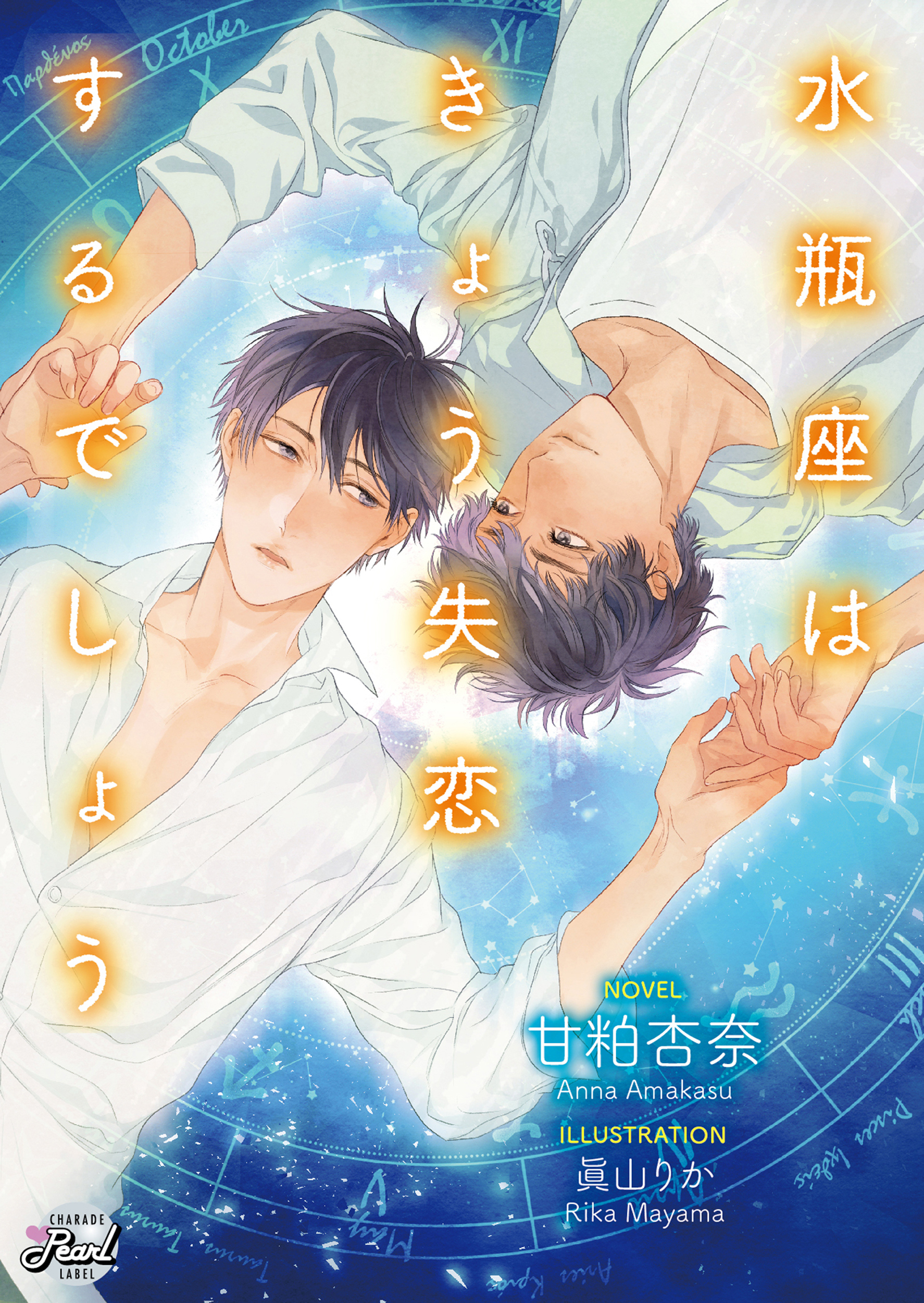 水瓶座はきょう失恋するでしょう