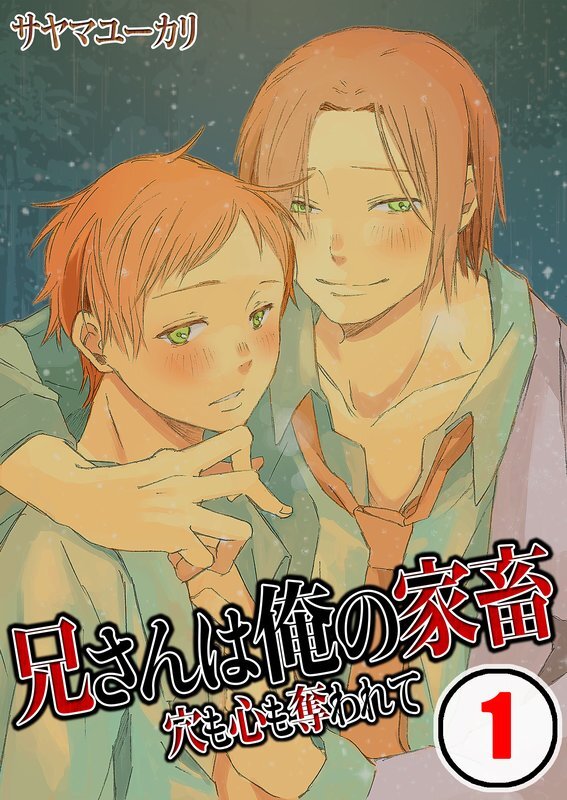 兄さんは俺の家畜～穴も心も奪われて【分冊版】 (1)