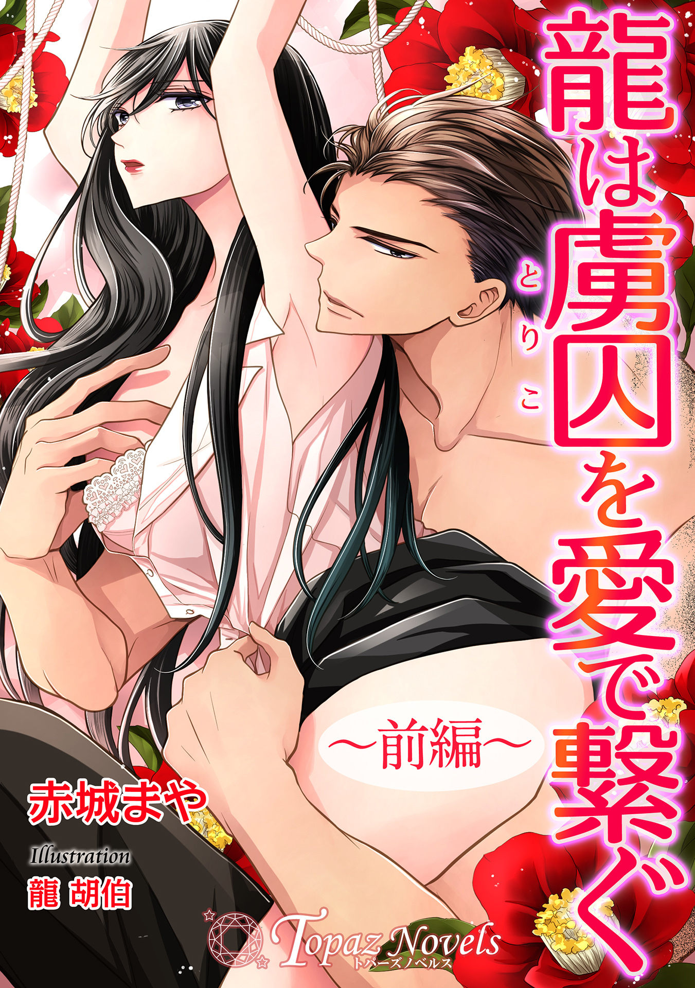 龍は虜囚を愛で繋ぐ～前編～【書き下ろし・イラスト5枚】