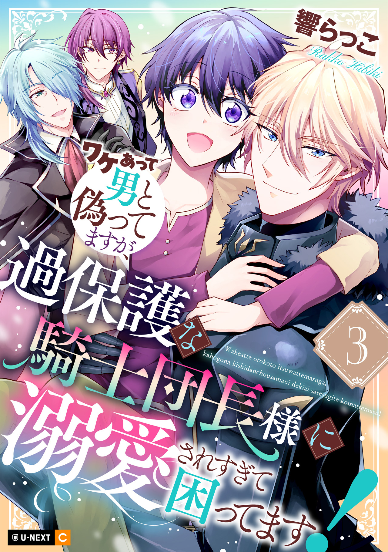 ワケあって男と偽ってますが、過保護な騎士団長様に溺愛されすぎて困ってます！ 3巻