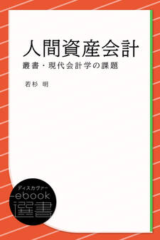 人間資産会計 (叢書・現代会計学の課題)