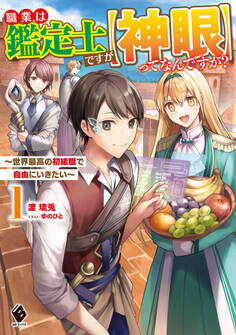 職業は鑑定士ですが【神眼】ってなんですか? ~世界最高の初級職で自由にいきたい~ 1