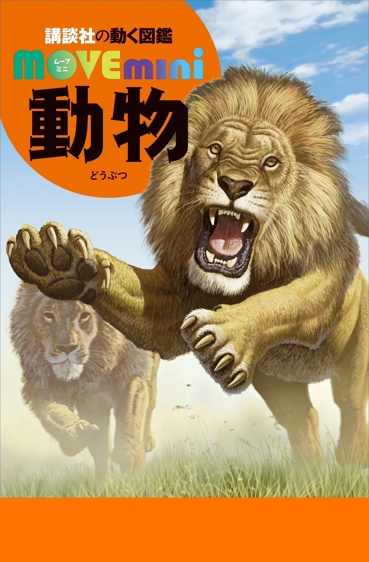 動物
