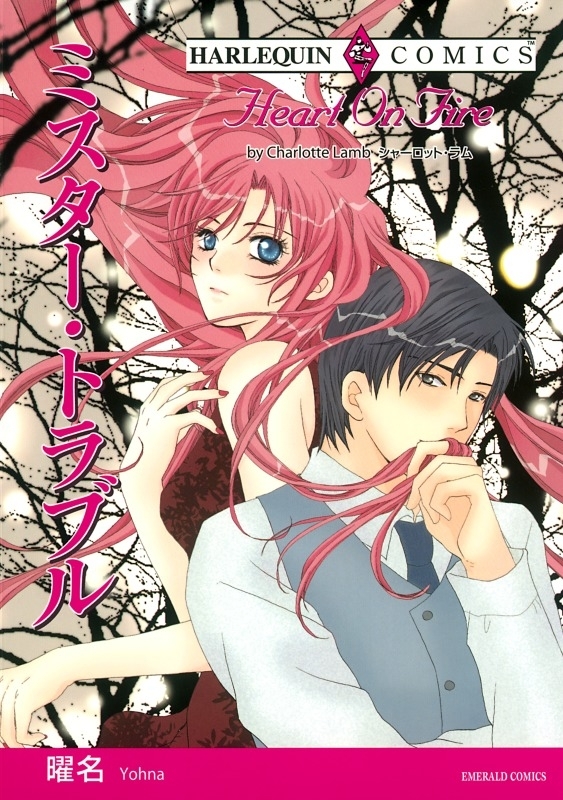 ミスター・トラブル