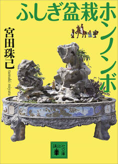 ふしぎ盆栽ホンノンボ