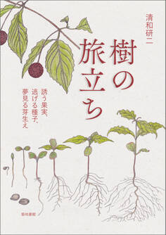 樹の旅立ち