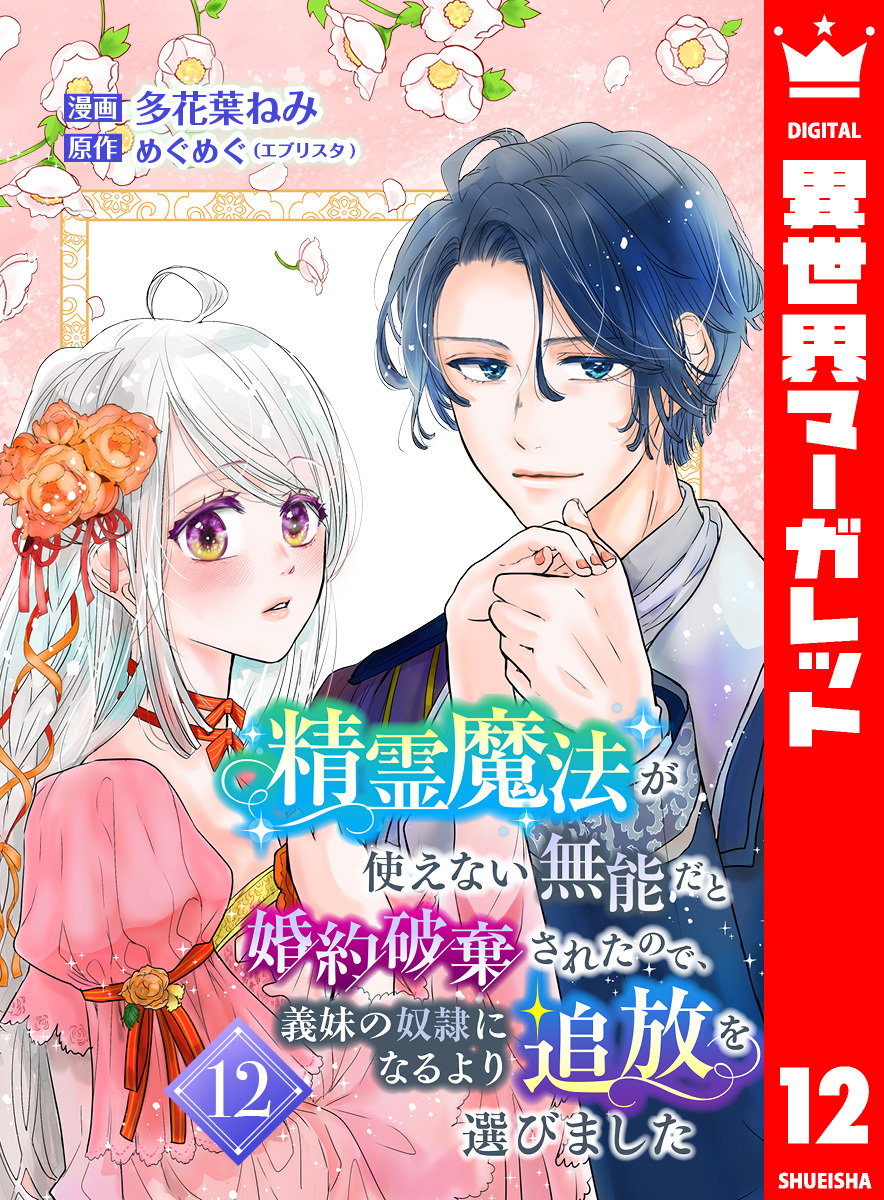 精霊魔法が使えない無能だと婚約破棄されたので、義妹の奴隷になるより追放を選びました 12