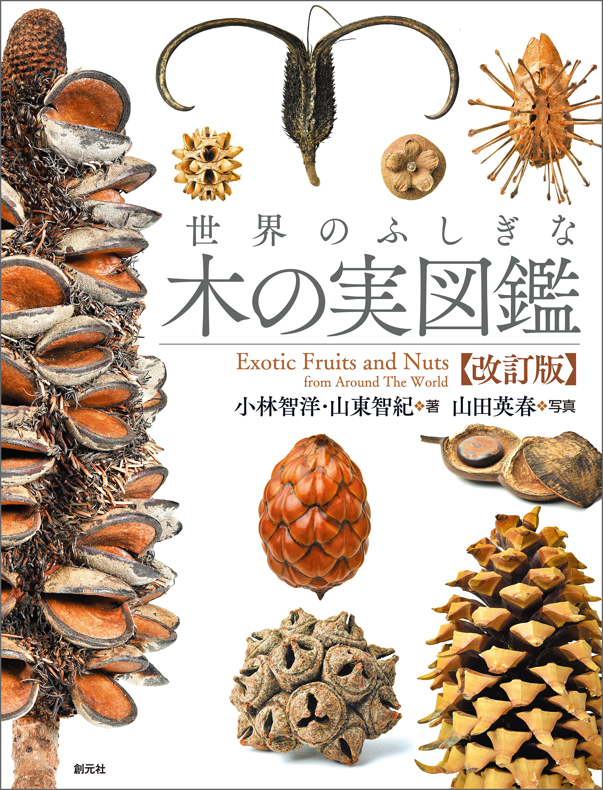 世界のふしぎな木の実図鑑【改訂版】
