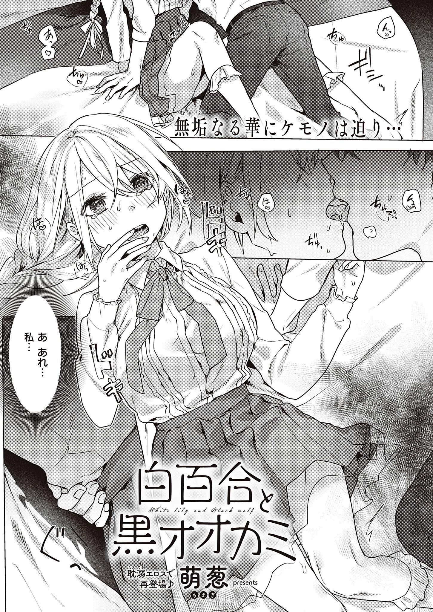 白百合と黒オオカミ