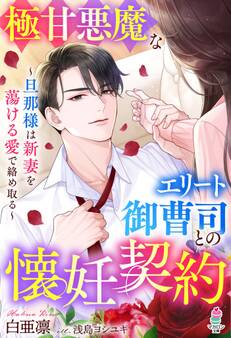 極甘悪魔なエリート御曹司との懐妊契約~旦那様は新妻を蕩ける愛で絡め取る~