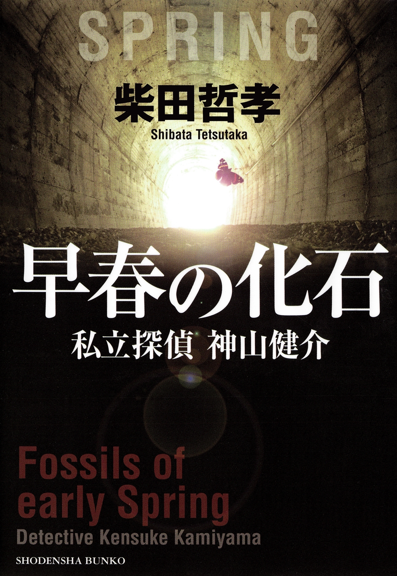 早春の化石　私立探偵　神山健介