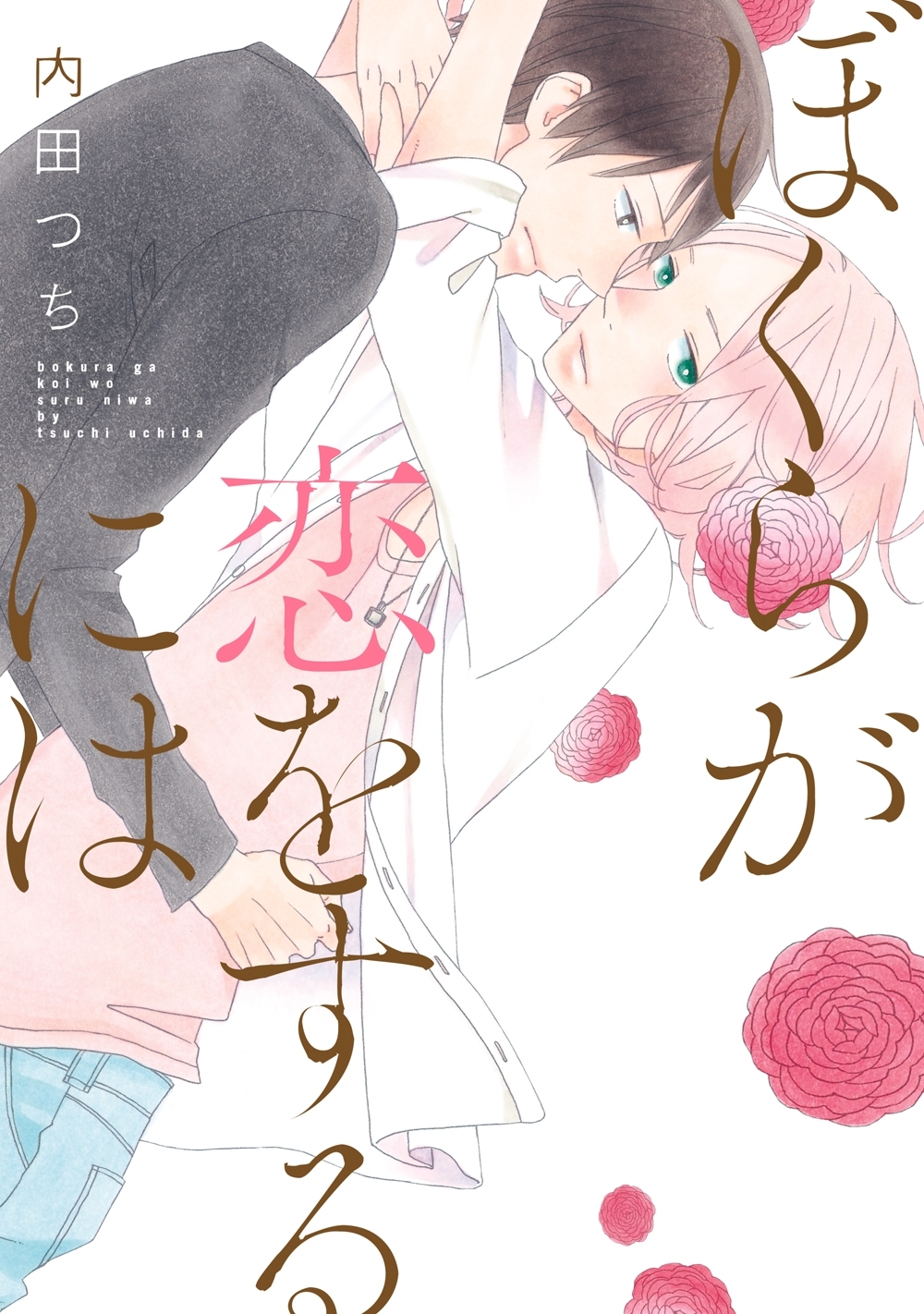 ぼくらが恋をするには