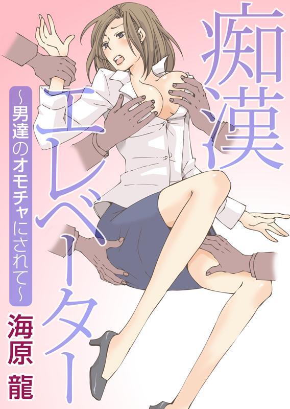 痴漢エレベーター～男達のオモチャにされて～
