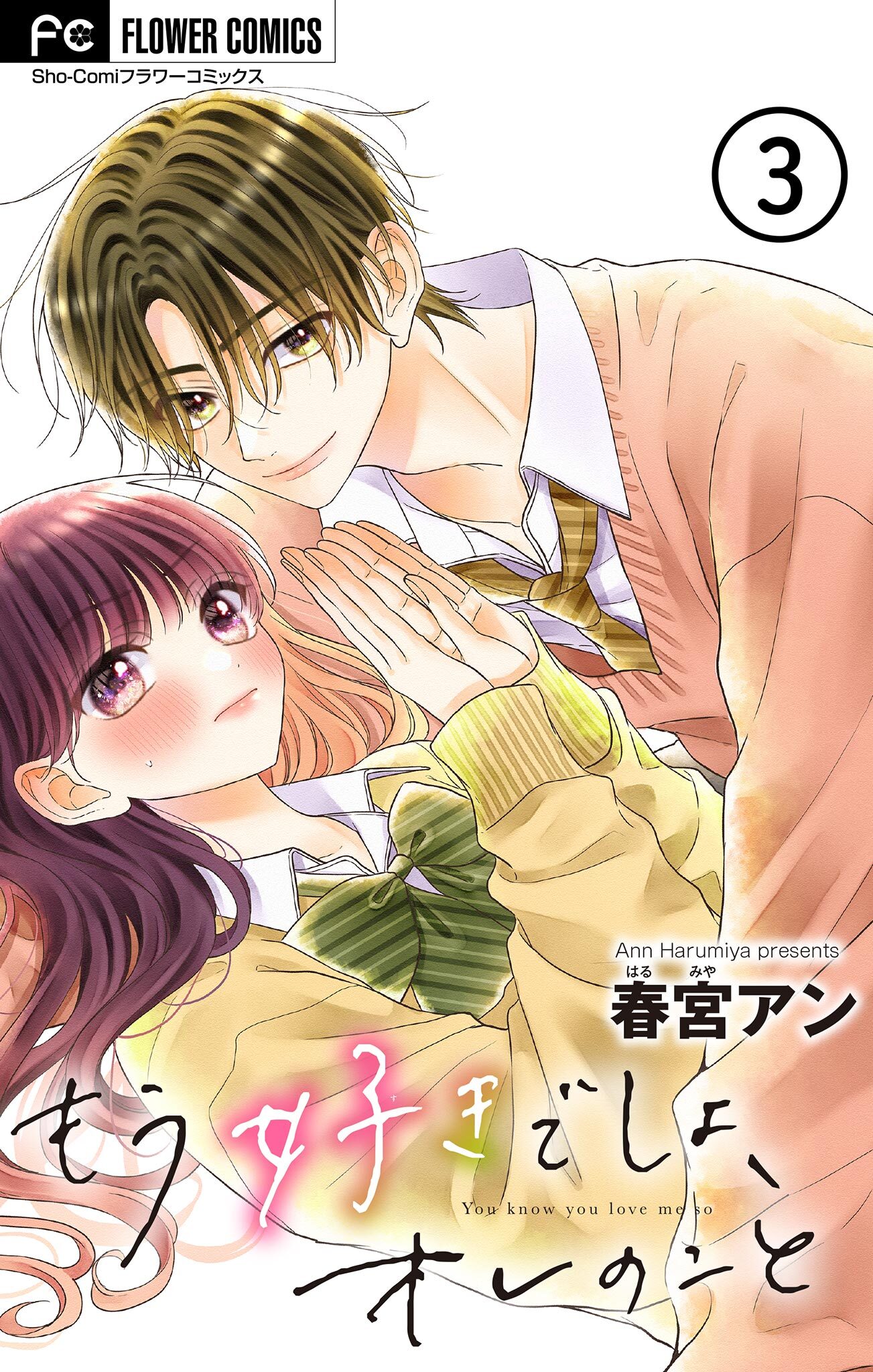 【期間限定　無料お試し版　閲覧期限2026年3月11日】もう好きでしょ、オレのこと【マイクロ】 3