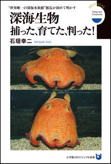 深海生物 捕った、育てた、判った! “世界唯一の深海水族館”館長が初めて明かす(小学館101ビジュアル新書)