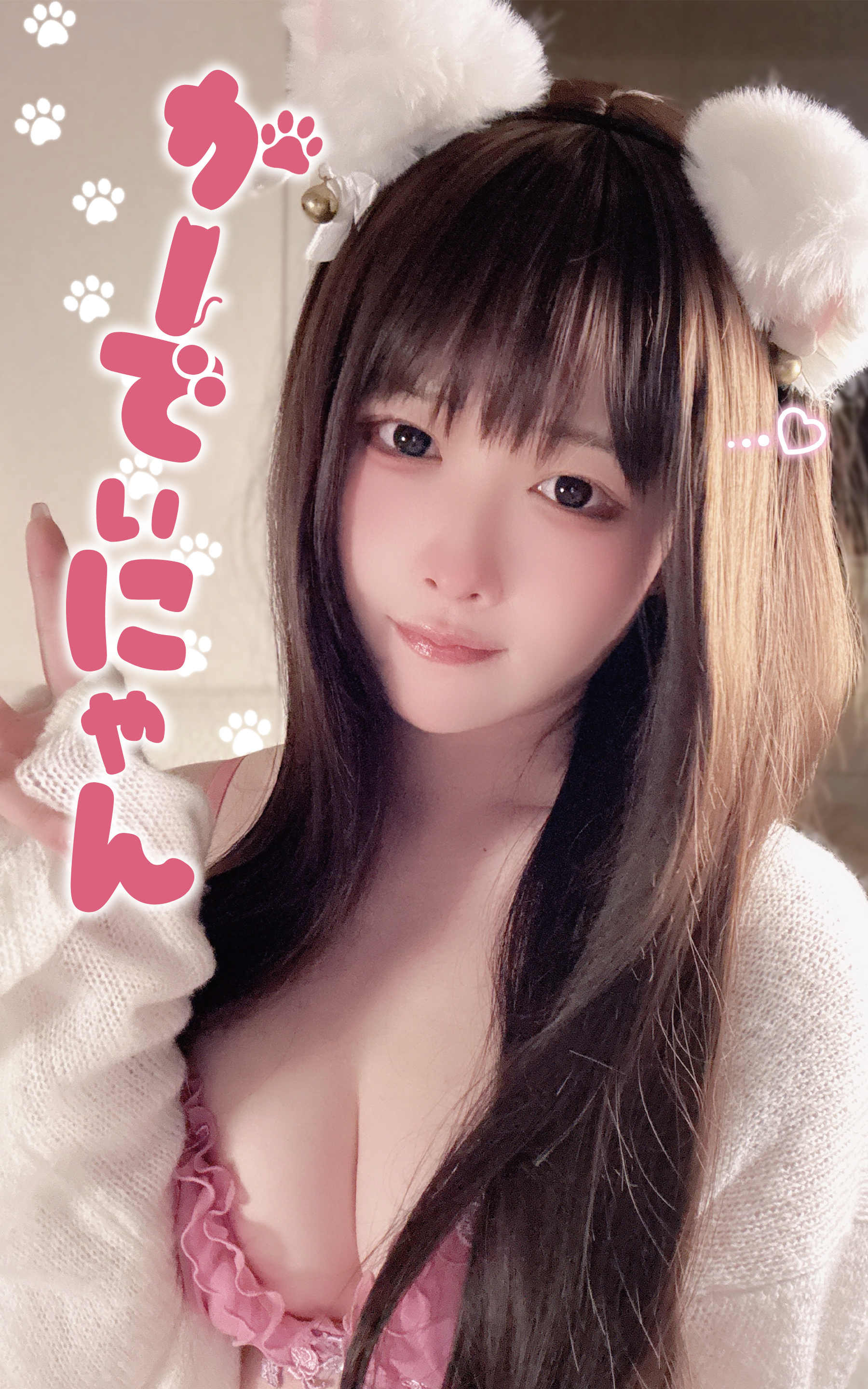 かーでぃにゃん