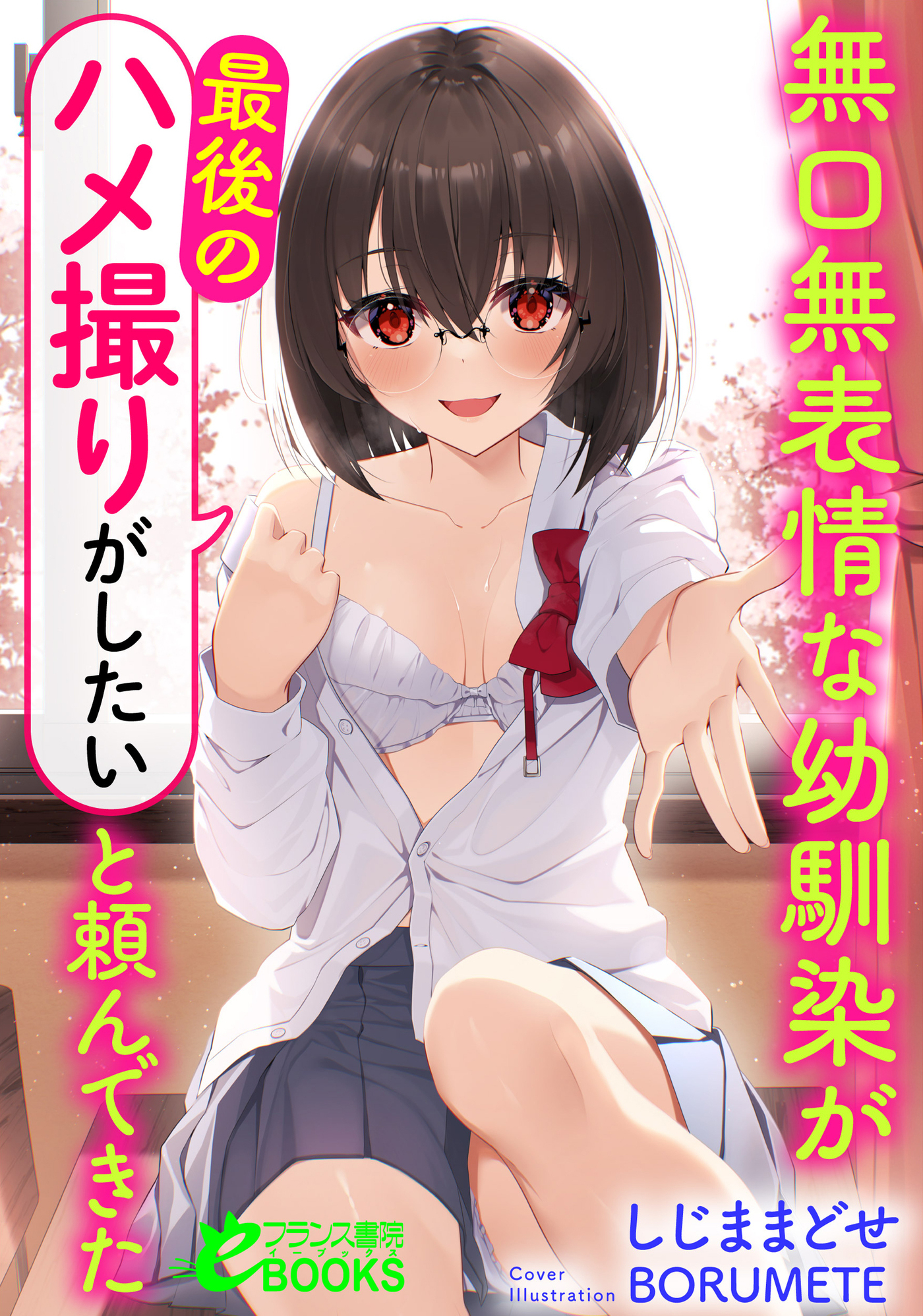 無口無表情な幼馴染が「ハメ撮りがしたい」とか頼んできて