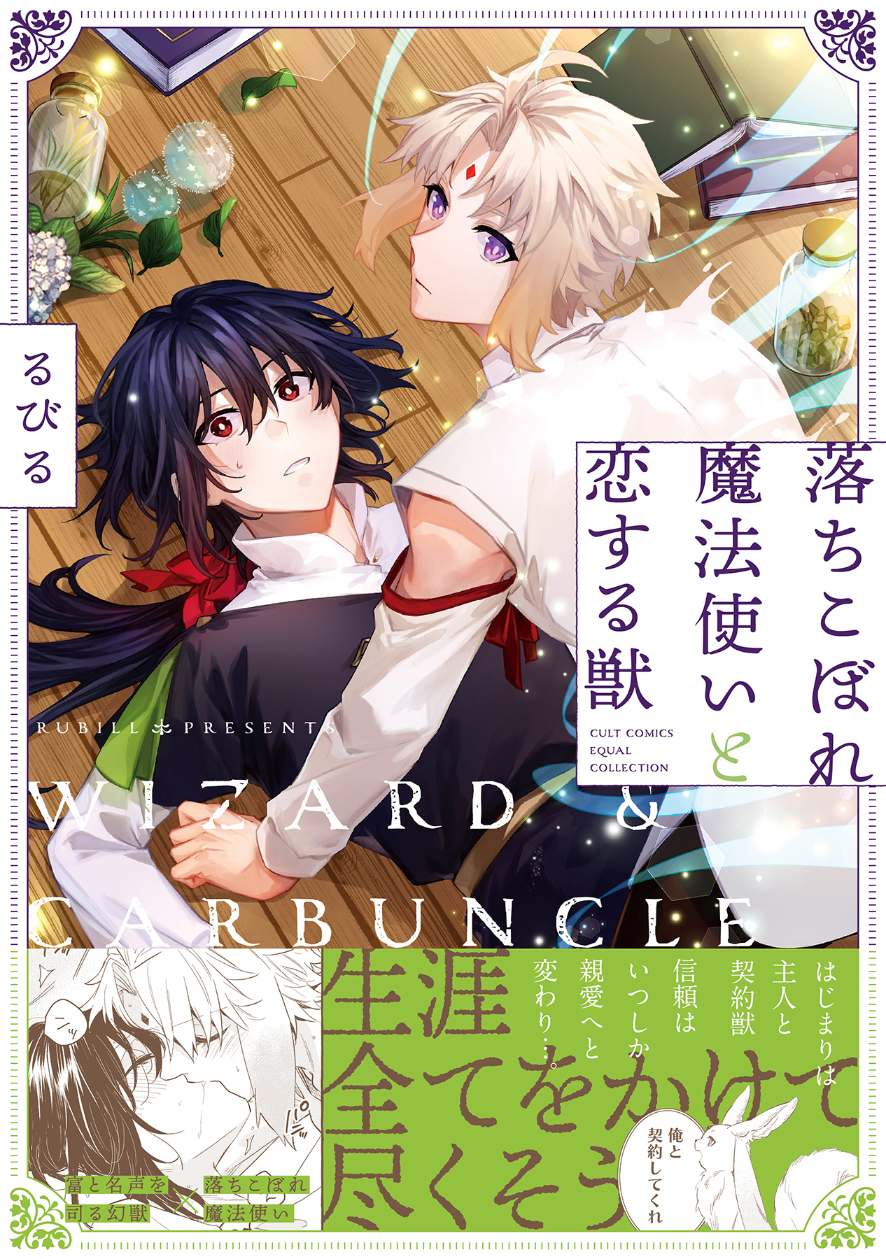 落ちこぼれ魔法使いと恋する獣【電子限定描き下ろし漫画付き】【コミックス版】