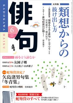 俳句 28年6月号