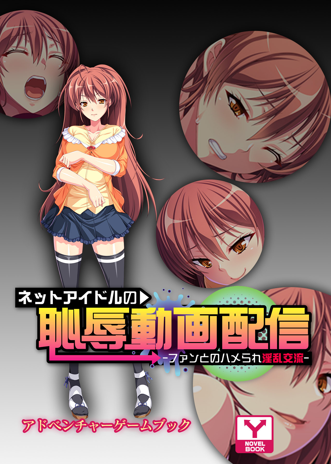 ネットアイドルの恥辱動画配信 ～ファンとのハメられ淫乱交流～　アドベンチャーゲームブック