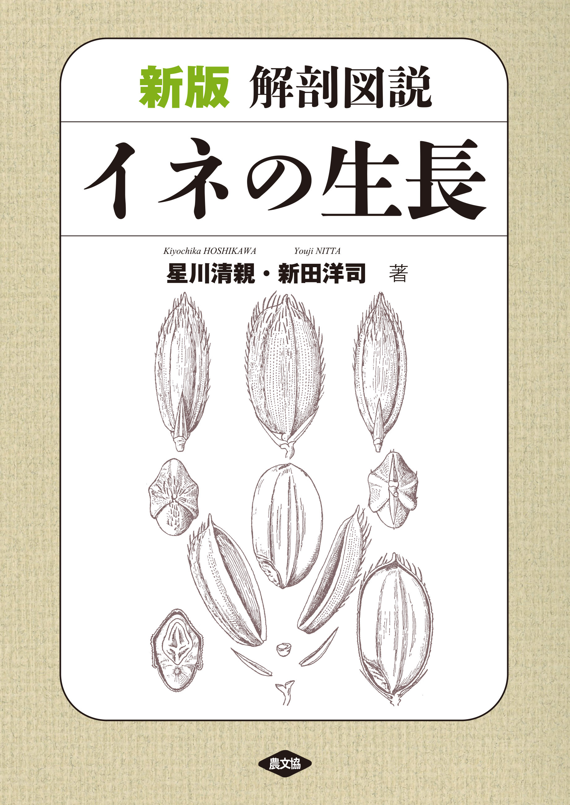 新版　解剖図説　イネの生長