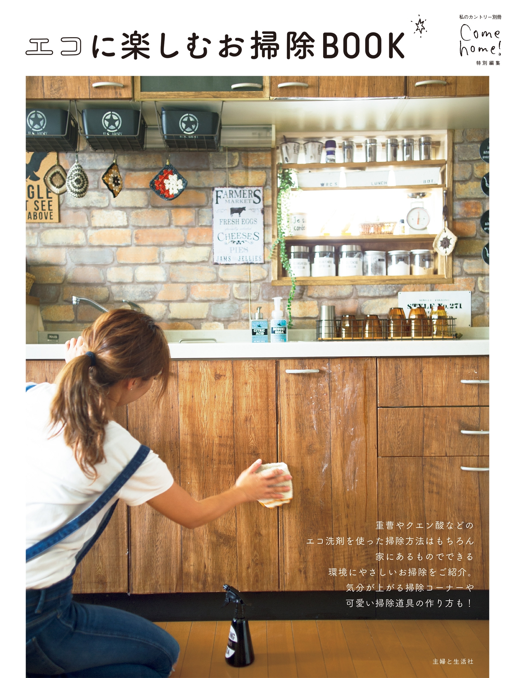 エコに楽しむお掃除BOOK