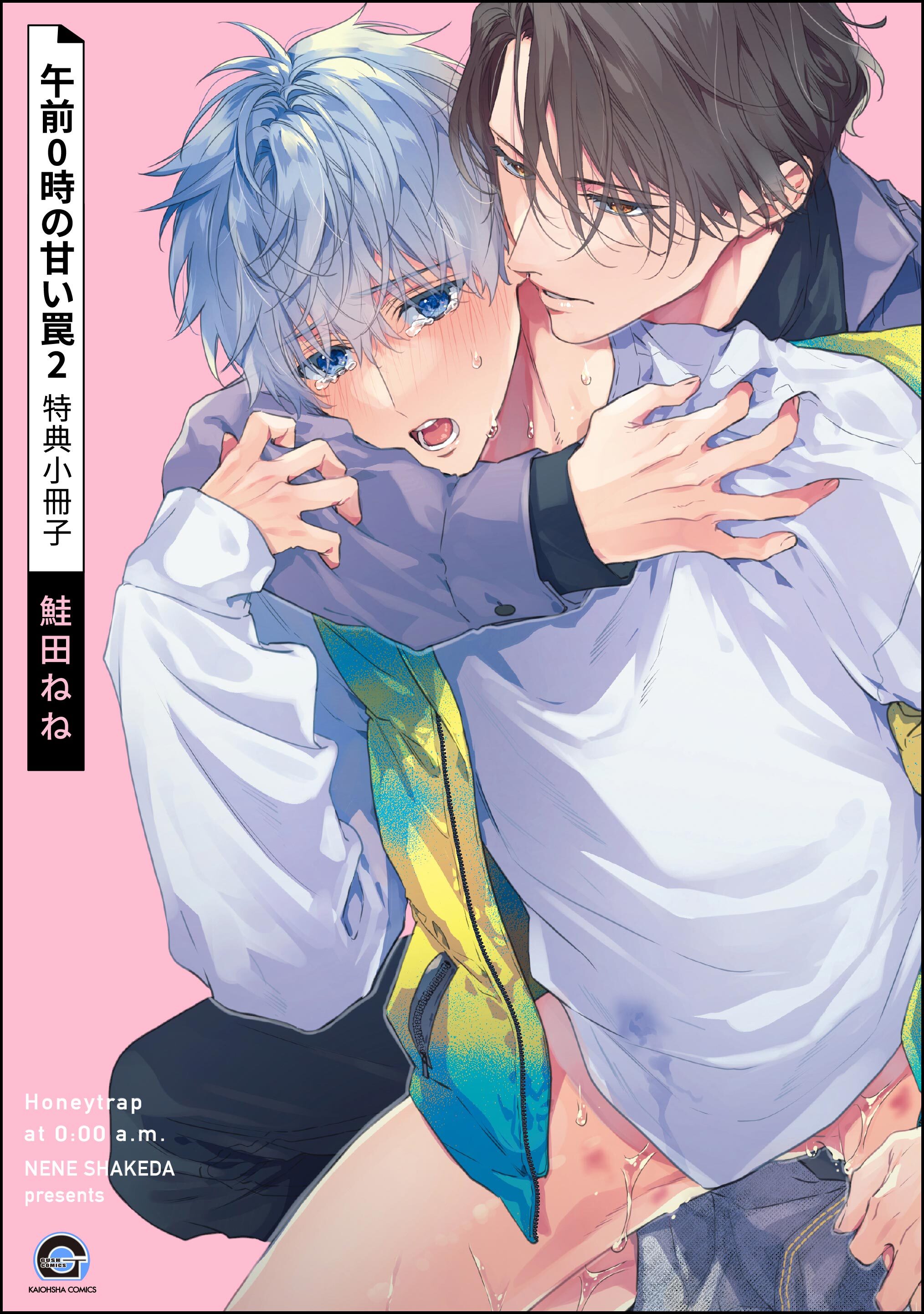 午前0時の甘い罠（2） 特典小冊子