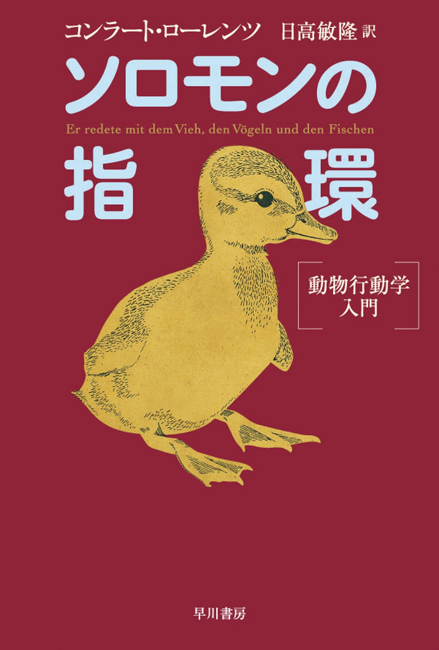 ソロモンの指環