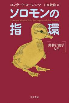 ソロモンの指環