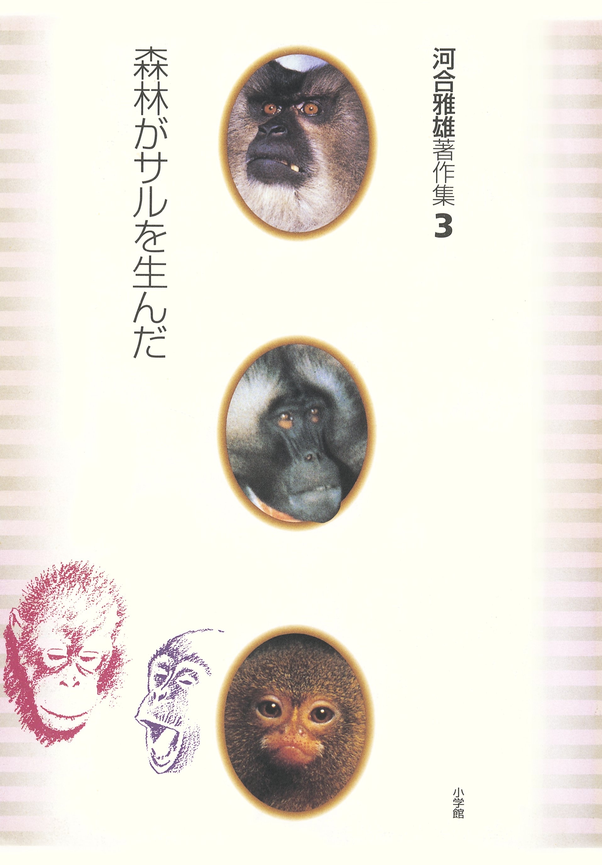 河合雅雄著作集3　森林がサルを生んだ