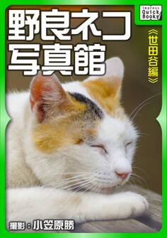 野良ネコ写真館【世田谷編】