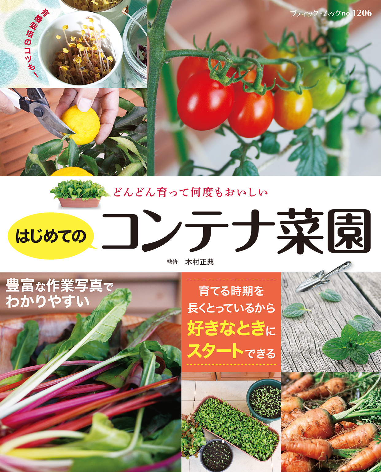 はじめてのコンテナ菜園