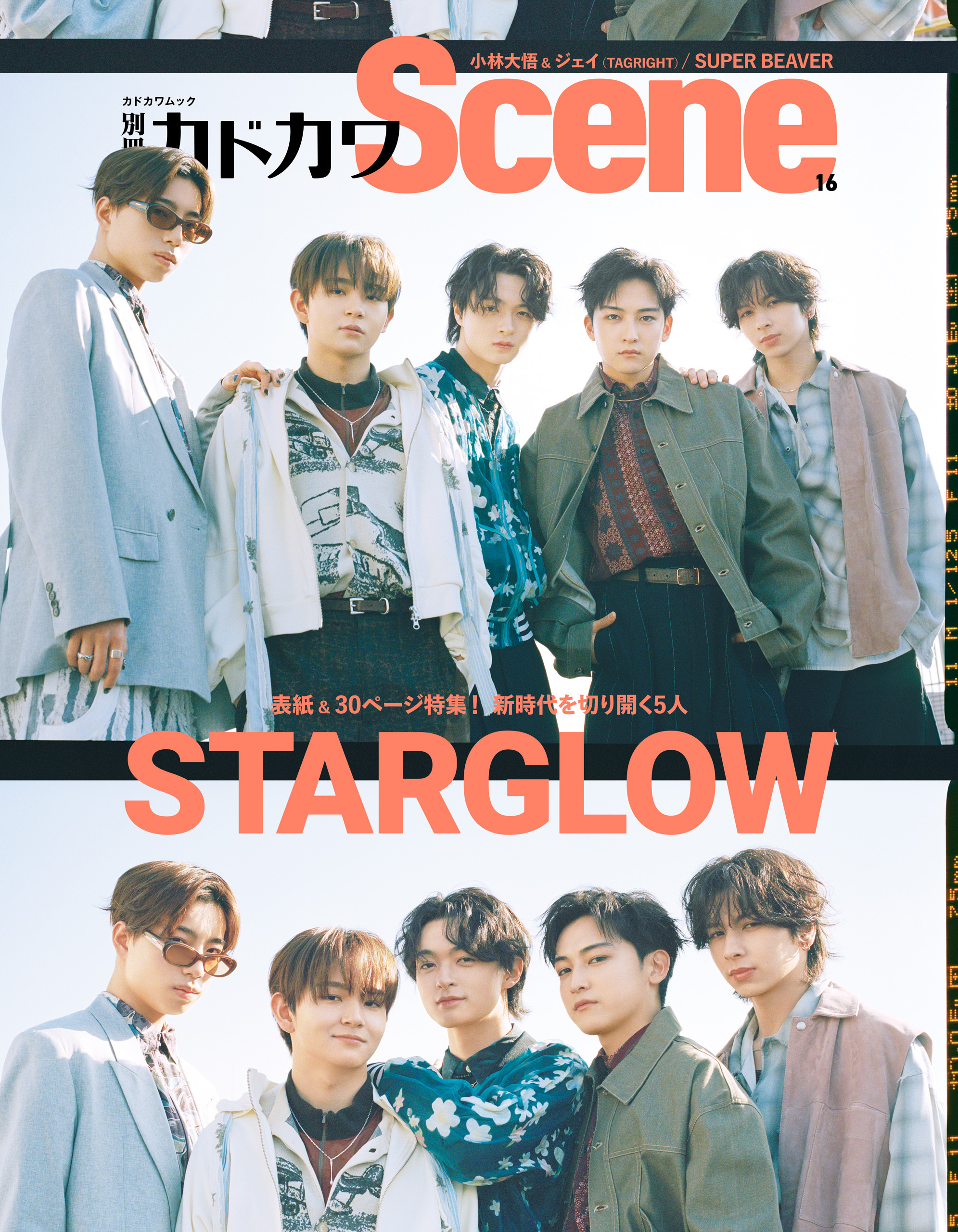 別冊カドカワScene