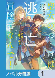 聖女のおまけは逃亡したけど違った? でももう冒険者なんで!【ノベル分冊版】 1